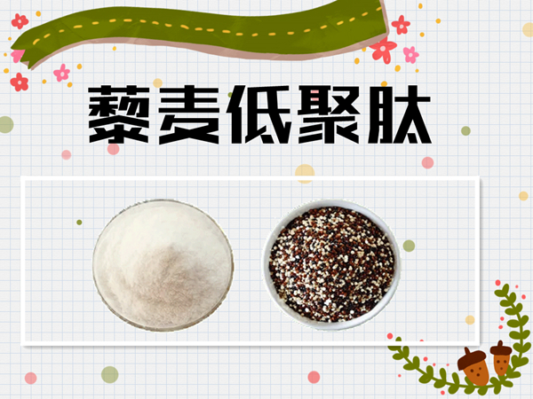 藜麦百科丨什么是藜麦低聚肽？